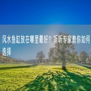 风水鱼缸放在哪里最好？听听专家教你如何选择