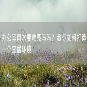 办公室风水要敞亮吗吗？教你如何打造一个宜居环境