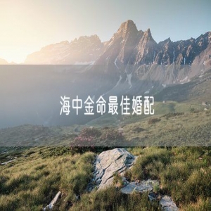 海中金命最佳婚配