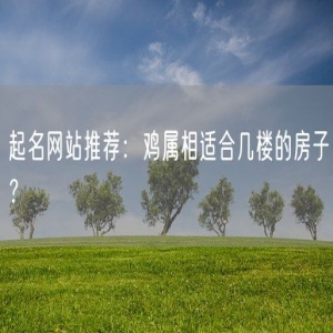 起名网站推荐：鸡属相适合几楼的房子？