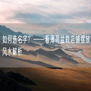 如何选名字？——看薄荷盆栽店铺摆放风水解析