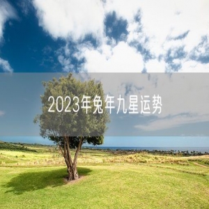 2023年兔年九星运势