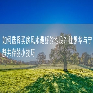 如何选择买房风水最好的地段？让繁华与宁静共存的小技巧