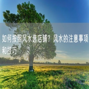 如何按照风水选店铺？风水的注意事项和技巧