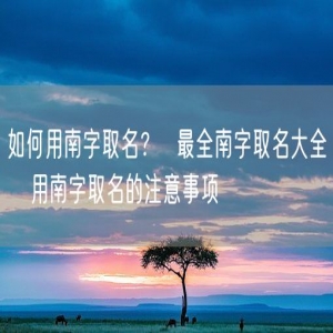 如何用南字取名？  最全南字取名大全   用南字取名的注意事项