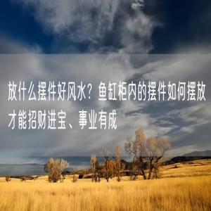 放什么摆件好风水？鱼缸柜内的摆件如何摆放才能招财进宝、事业有成