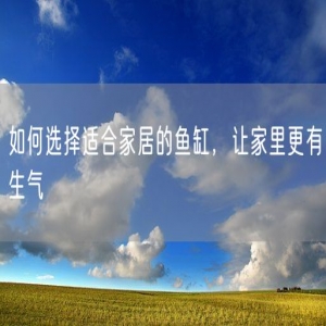 如何选择适合家居的鱼缸，让家里更有生气
