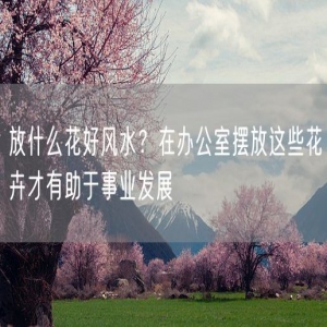 放什么花好风水？在办公室摆放这些花卉才有助于事业发展