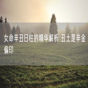 女命辛丑日柱的精华解析 丑土是辛金偏印