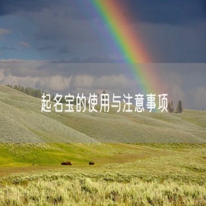 起名宝的使用与注意事项