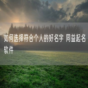 如何选择符合个人的好名字 同益起名软件