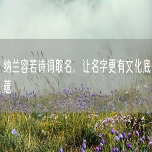纳兰容若诗词取名，让名字更有文化底蕴