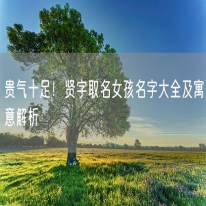 贵气十足！贤字取名女孩名字大全及寓意解析