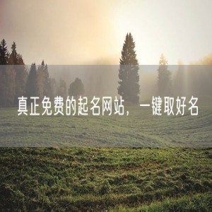 真正免费的起名网站，一键取好名