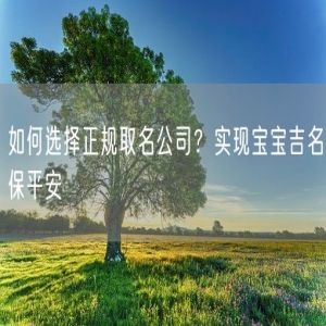 如何选择正规取名公司？实现宝宝吉名保平安
