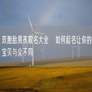 双胞胎男孩取名大全   如何起名让你的宝贝与众不同