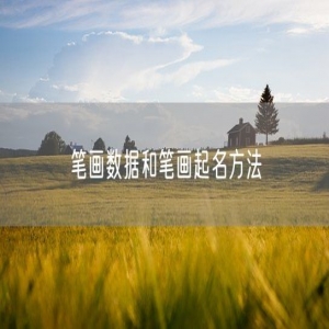 笔画数据和笔画起名方法