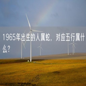 1965年出生的人属蛇，对应五行属什么？