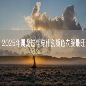 2025年属龙过年穿什么颜色衣服最旺