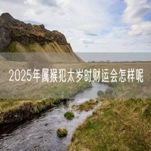 2025年属猴犯太岁时财运会怎样呢