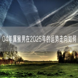 04年属猴男在2025年的运势走向如何
