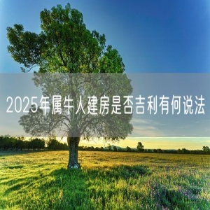 2025年属牛人建房是否吉利有何说法