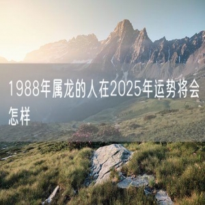 1988年属龙的人在2025年运势将会怎样