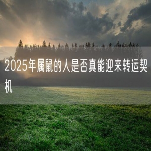2025年属鼠的人是否真能迎来转运契机