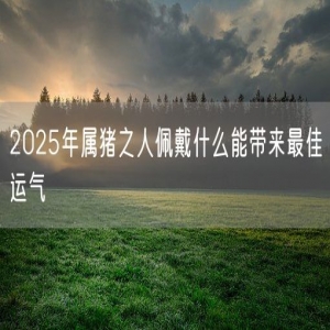 2025年属猪之人佩戴什么能带来最佳运气