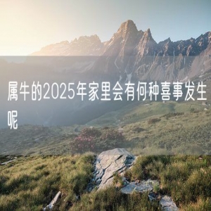 属牛的2025年家里会有何种喜事发生呢