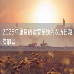 2025年属猪的适宜结婚的农历日期有哪些