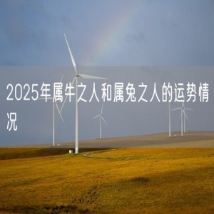 2025年属牛之人和属兔之人的运势情况