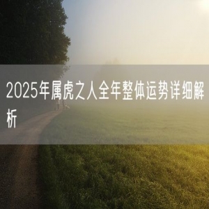 2025年属虎之人全年整体运势详细解析