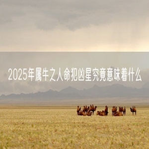 2025年属牛之人命犯凶星究竟意味着什么