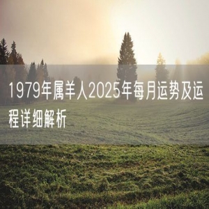 1979年属羊人2025年每月运势及运程详细解析