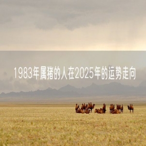 1983年属猪的人在2025年的运势走向