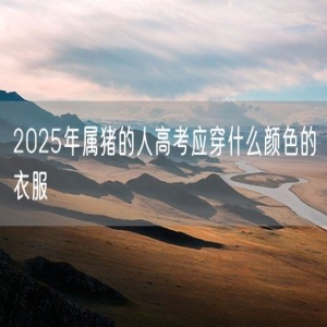 2025年属猪的人高考应穿什么颜色的衣服