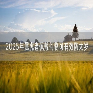 2025年属虎者佩戴何物可有效防太岁