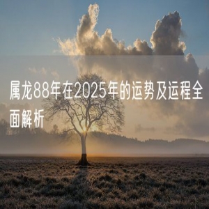 属龙88年在2025年的运势及运程全面解析