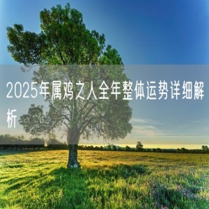 2025年属鸡之人全年整体运势详细解析