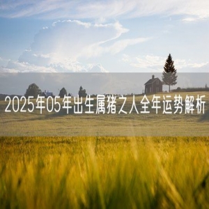 2025年05年出生属猪之人全年运势解析