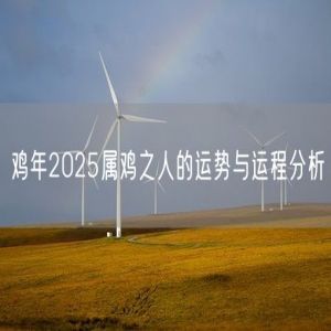 鸡年2025属鸡之人的运势与运程分析