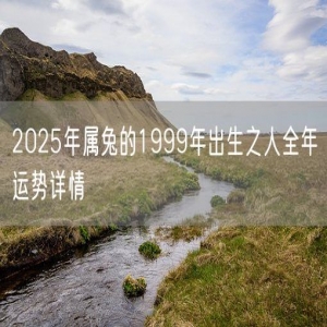 2025年属兔的1999年出生之人全年运势详情