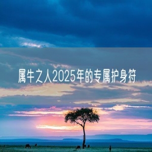 属牛之人2025年的专属护身符