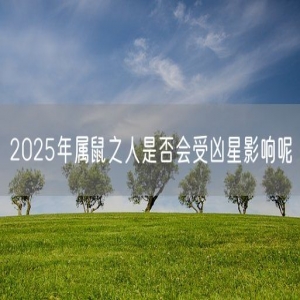 2025年属鼠之人是否会受凶星影响呢