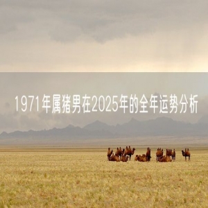 1971年属猪男在2025年的全年运势分析