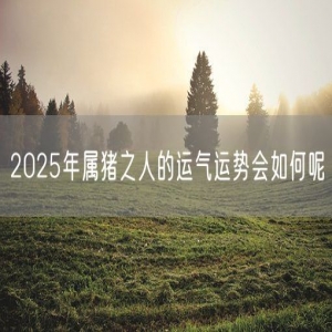2025年属猪之人的运气运势会如何呢