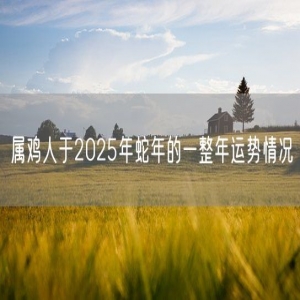 属鸡人于2025年蛇年的一整年运势情况