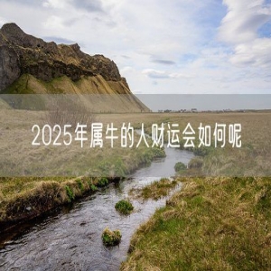 2025年属牛的人财运会如何呢
