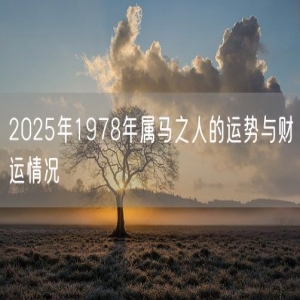 2025年1978年属马之人的运势与财运情况